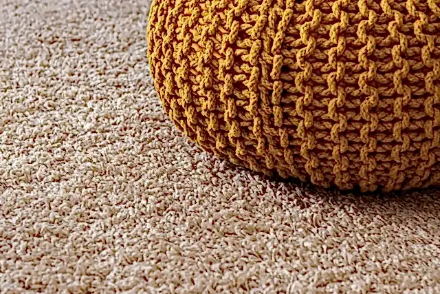 carpet-cleaning
